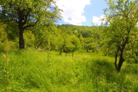 ������� ���� | Imot.bg � ����� ������ 10