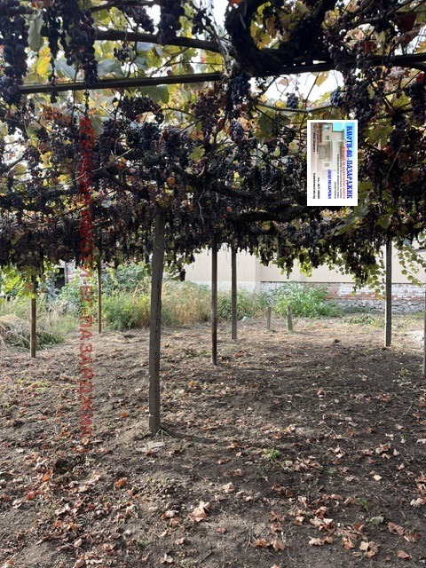 Продава КЪЩА, с. Звъничево, област Пазарджик