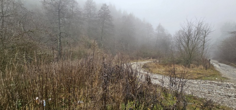 Продава ПАРЦЕЛ, гр. Разлог, област Благоевград