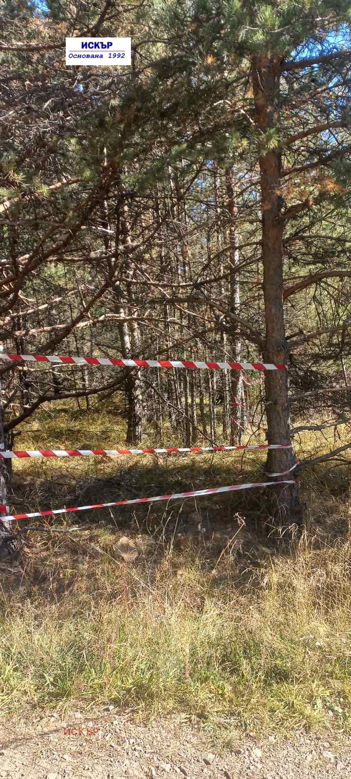 Продава ПАРЦЕЛ, в.з.Ярема, област София област, снимка 6 - Парцели - 56254923