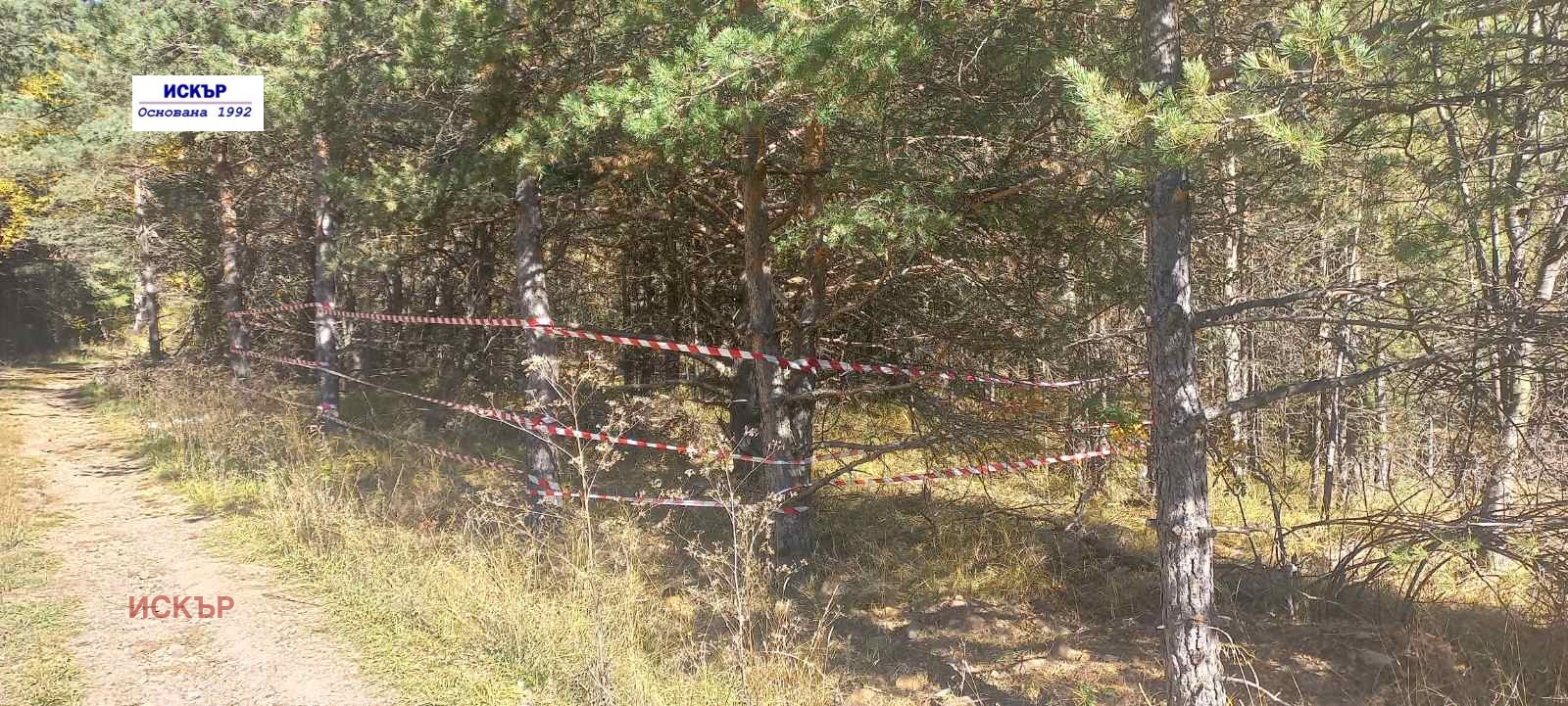 Продава ПАРЦЕЛ, в.з.Ярема, област София област, снимка 8 - Парцели - 56254923