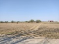 Продава ПАРЦЕЛ, с. Крапец, област Добрич, снимка 2
