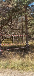 Продава ПАРЦЕЛ, в.з.Ярема, област София област, снимка 6
