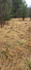Продава  Парцел област София , в.з.Ярема , 960 кв.м | 79931609 - изображение [12]
