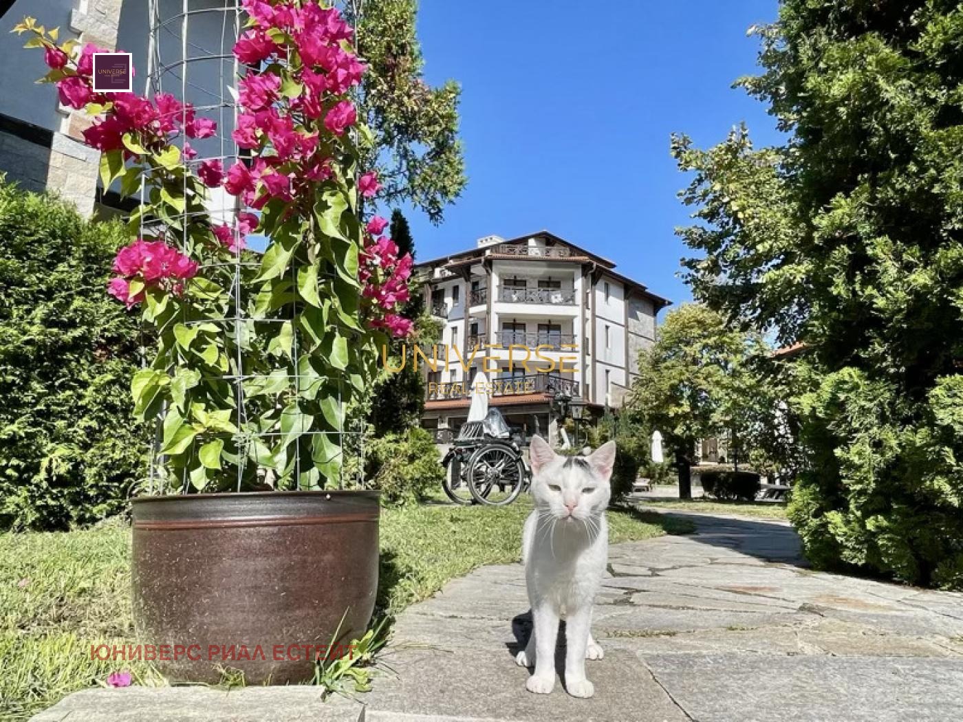 ������� 2-����� | Imot.bg � ����������� 12