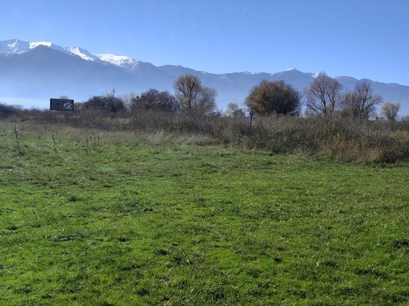 Продава ПАРЦЕЛ, с. Баня, област Благоевград, снимка 8 - Парцели - 52464319