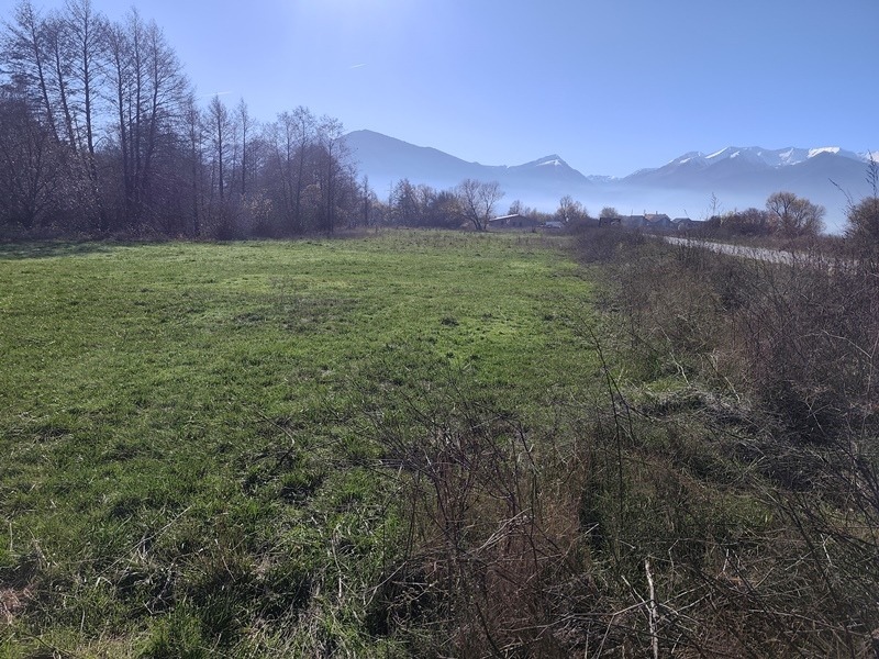 Продава ПАРЦЕЛ, с. Баня, област Благоевград, снимка 2 - Парцели - 52464319