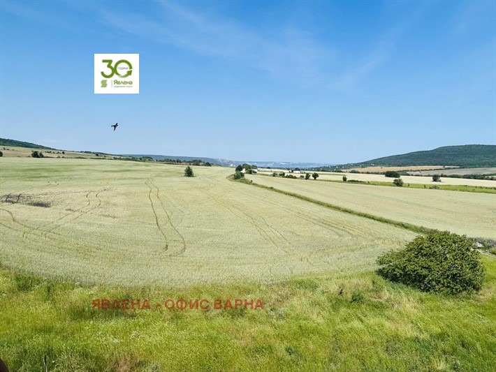 Продава БИЗНЕС ИМОТ, с. Осеново, област Варна, снимка 15 - Други - 54029370