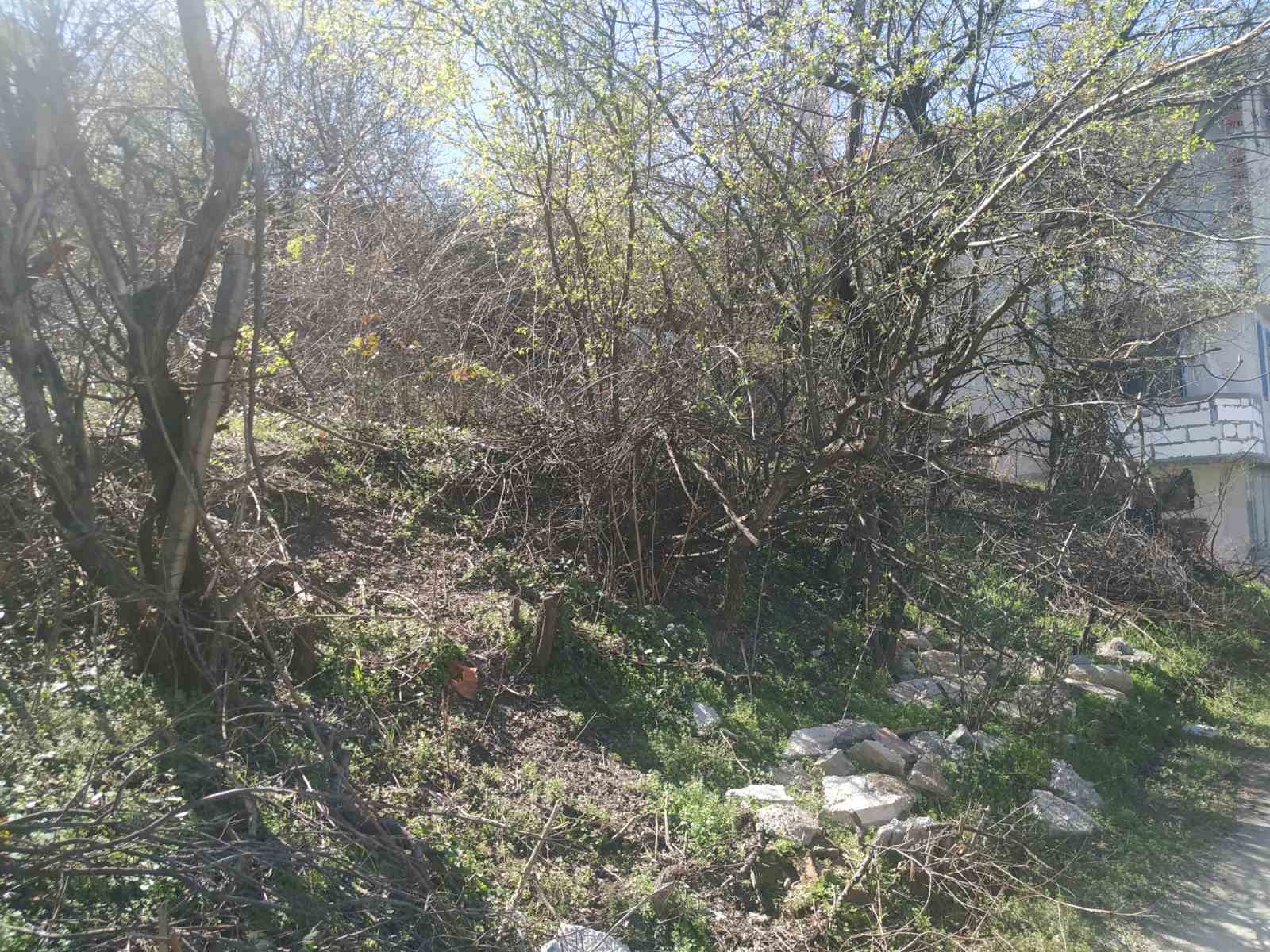 Продава ПАРЦЕЛ, с. Брестовица, област Пловдив, снимка 5 - Парцели - 54414453
