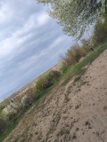 Продава ПАРЦЕЛ, с. Енина, област Стара Загора, снимка 3