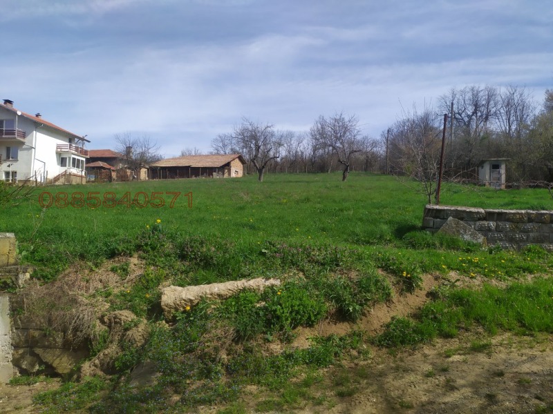 Продава ПАРЦЕЛ, с. Войнежа, област Велико Търново, снимка 9 - Парцели - 52779415