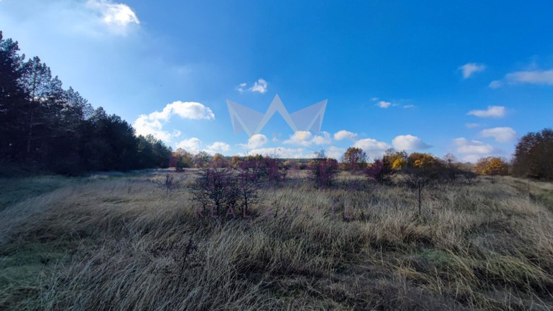 À venda  Trama região Varna , Aksakovo , 5584 m² | 13316000 - imagem [3]