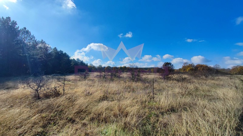 Продава ПАРЦЕЛ, област Варна, гр. Аксаково • 20000 € • 48661440 — Holmes.bg