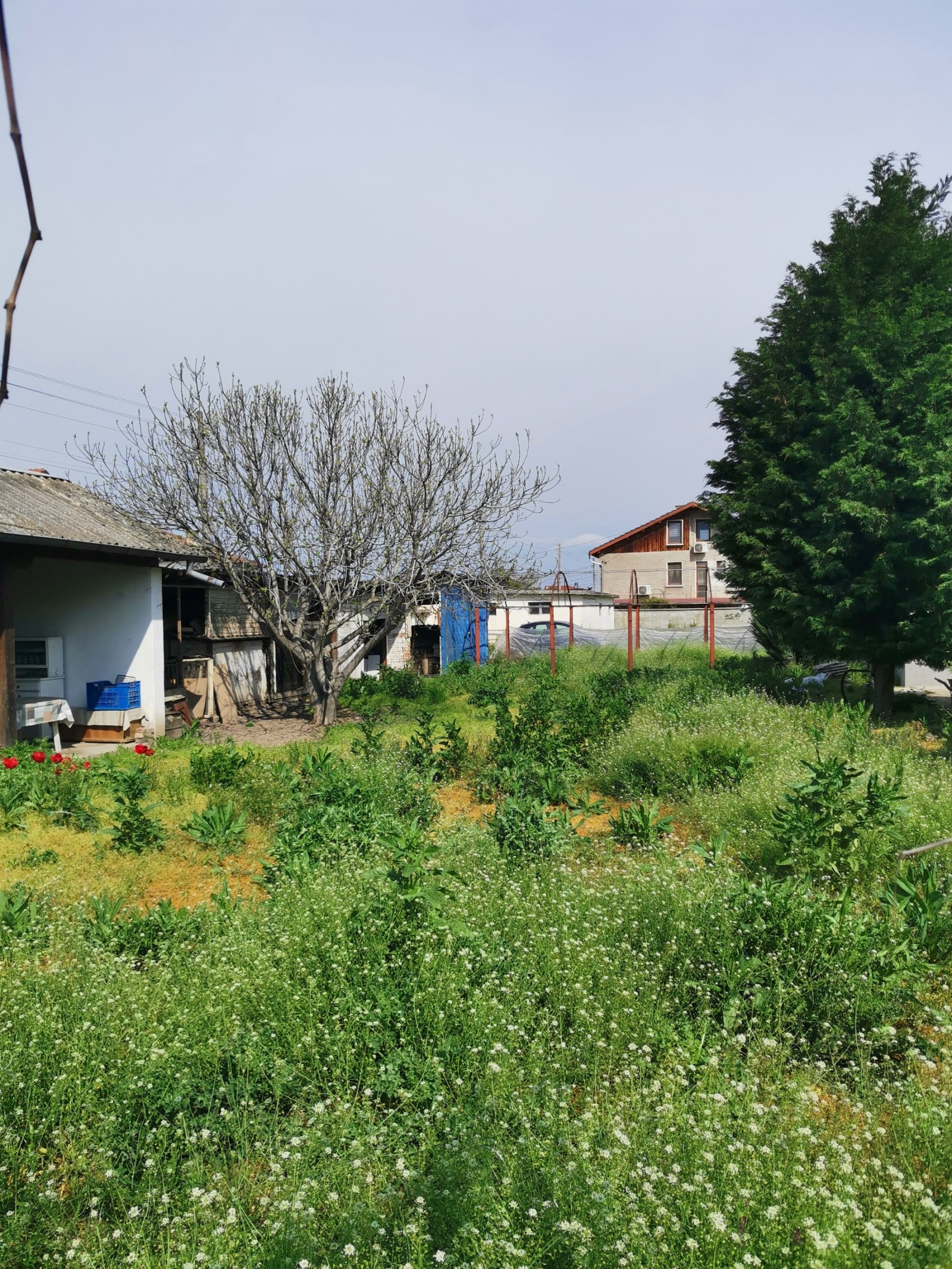 Продава КЪЩА, с. Мирянци, област Пазарджик, снимка 15 - Къщи - 54267354