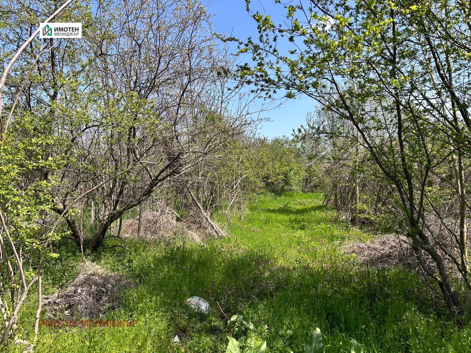 Продава КЪЩА, с. Върбица, област Плевен, снимка 4 - Къщи - 55951839