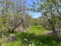 Продава КЪЩА, с. Върбица, област Плевен, снимка 4