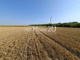 ������� ������ | Imot.bg � ����� ������ 6