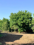 Продава КЪЩА, с. Касилаг, област Перник, снимка 4