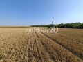 Продава ПАРЦЕЛ, с. Крапец, област Добрич, снимка 6