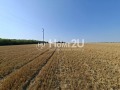 Продава ПАРЦЕЛ, с. Крапец, област Добрич, снимка 5