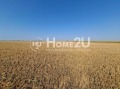 Продава ПАРЦЕЛ, с. Крапец, област Добрич, снимка 3