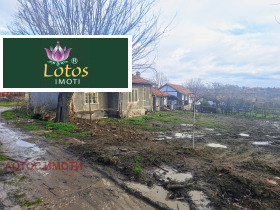 ������ ������� ����