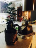 Продава  Мезонет град София , Драгалевци , 192 кв.м | 29733724 - изображение [4]