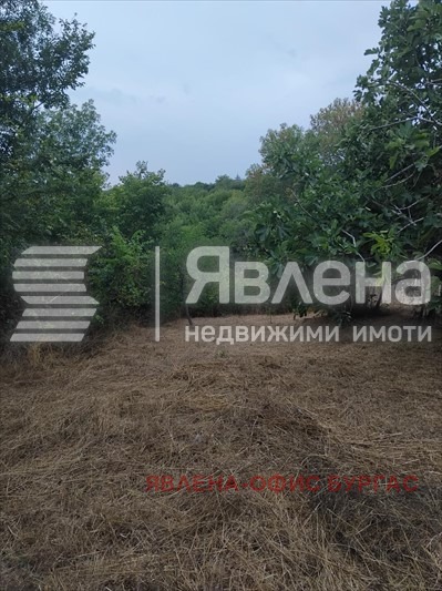 ������� ������ | Imot.bg � ����������� 8
