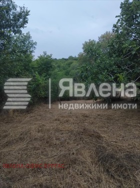 ������� ������ | Imot.bg � ����� ������ 8