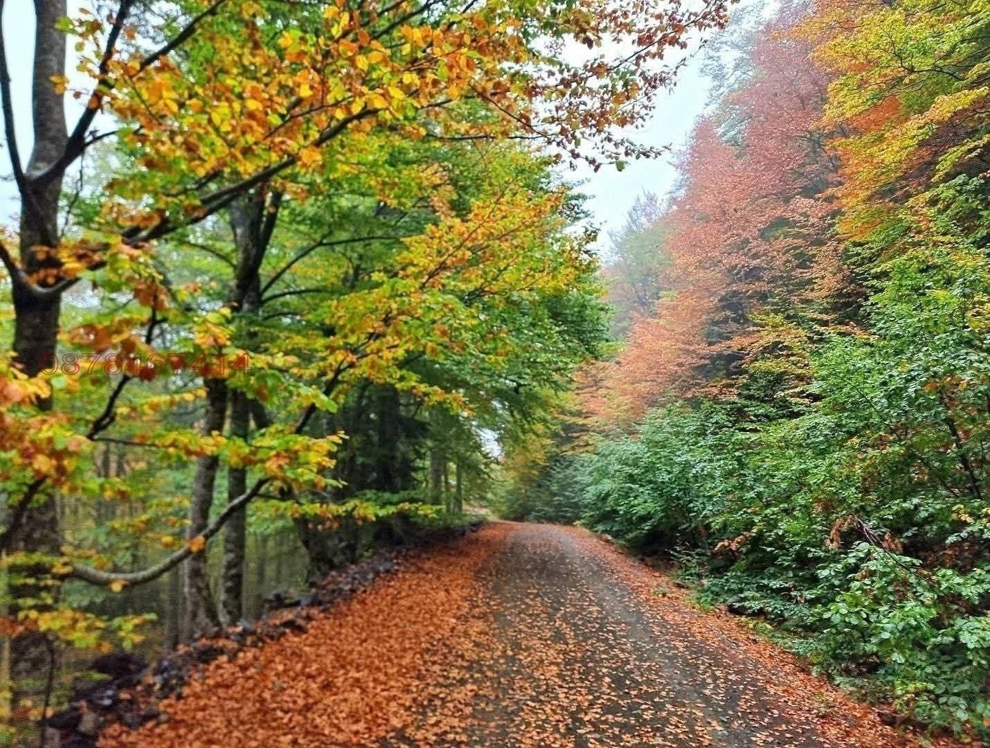 ������� ������ | Imot.bg � ����������� 2