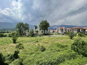 Studie Bansko, region Blagoevgrad 6