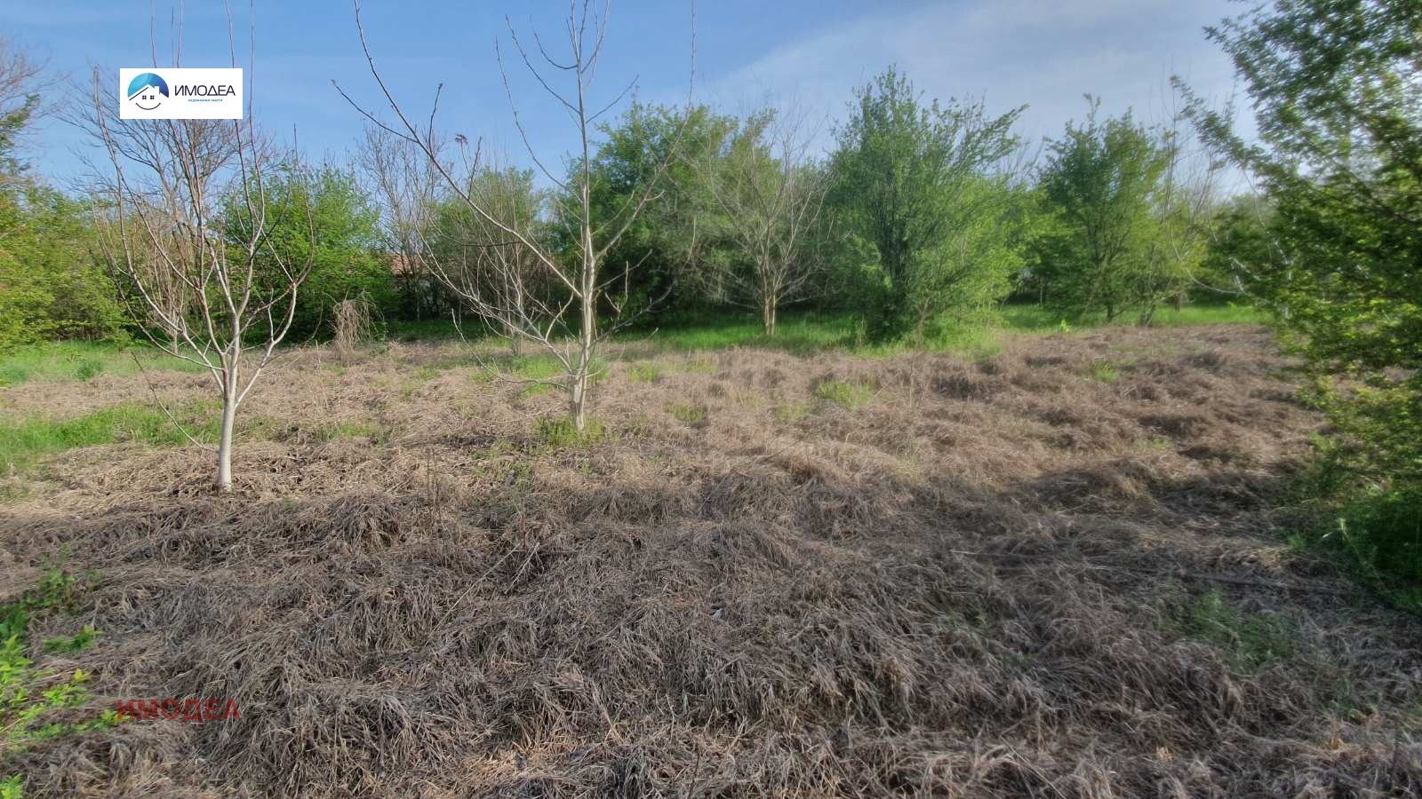 Продава КЪЩА, с. Горна Студена, област Велико Търново, снимка 4 - Къщи - 56089471