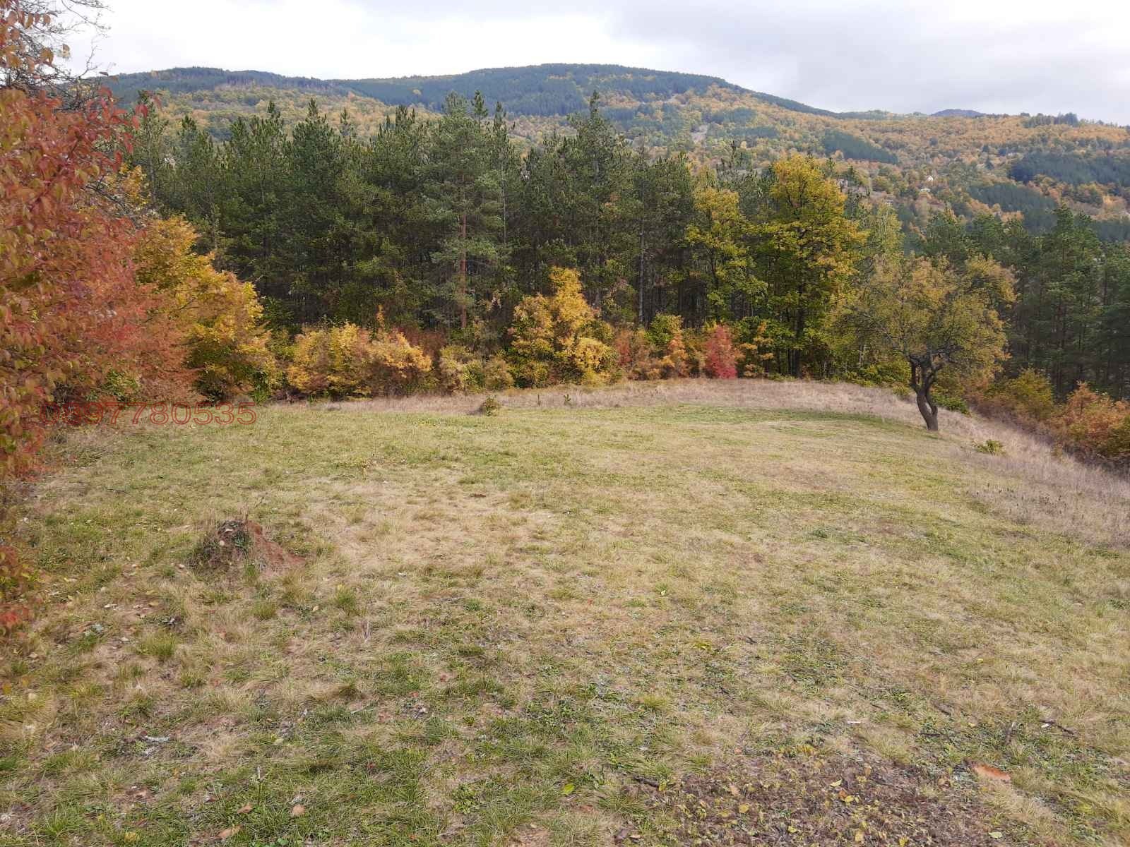 Продава ПАРЦЕЛ, с. Свидня, област София област, снимка 3 - Парцели - 53683108