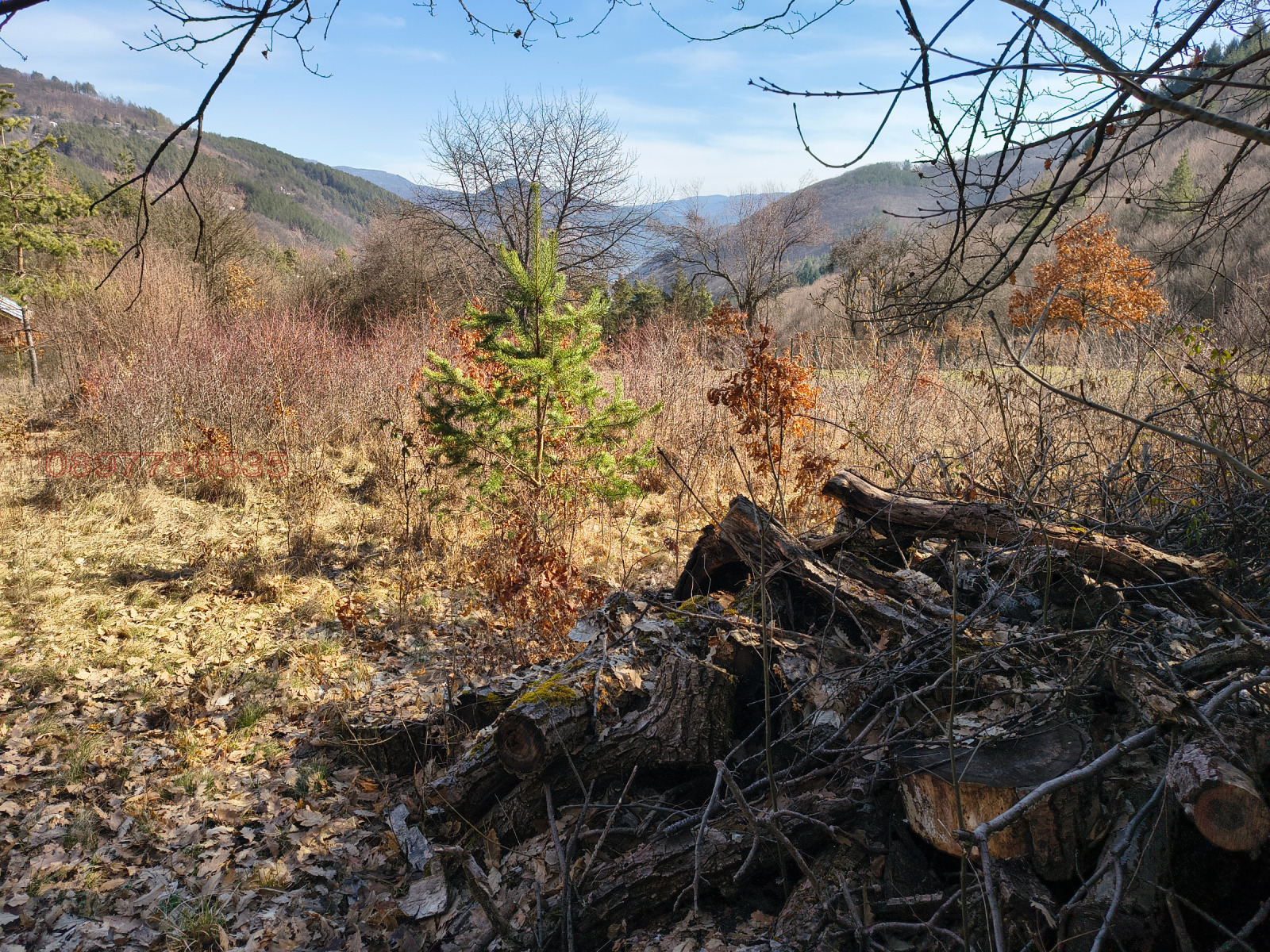 Продава ПАРЦЕЛ, с. Свидня, област София област, снимка 5 - Парцели - 53683108