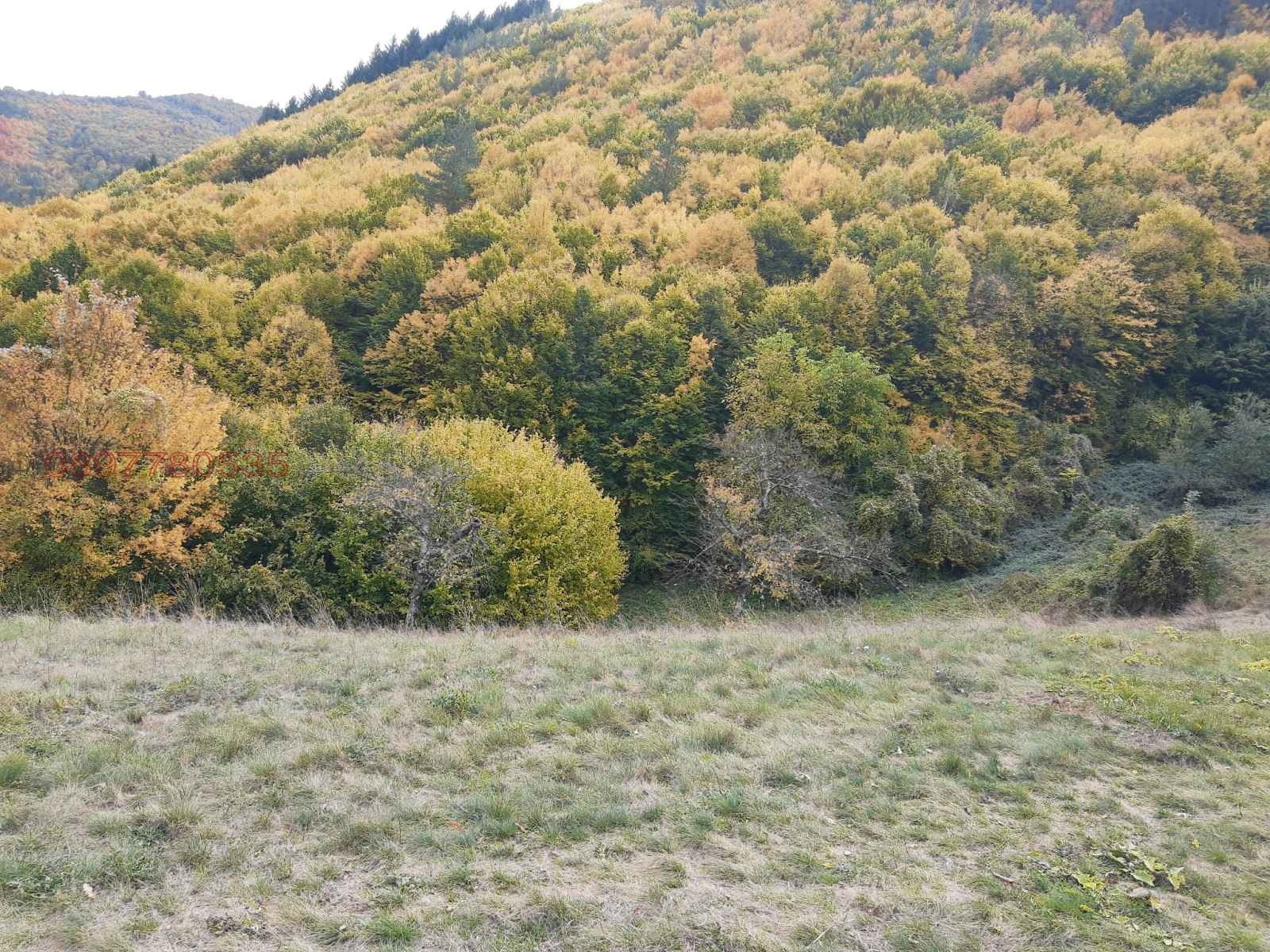 Продава ПАРЦЕЛ, с. Свидня, област София област, снимка 17 - Парцели - 53683108