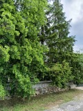 Продава КЪЩА, област Кюстендил, с. Раненци • 110000 € • 84201032 — Holmes.bg