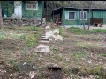 Продава ПАРЦЕЛ, град София, с. Герман • 60000 € / 117349.80 лв. • 55512453 1