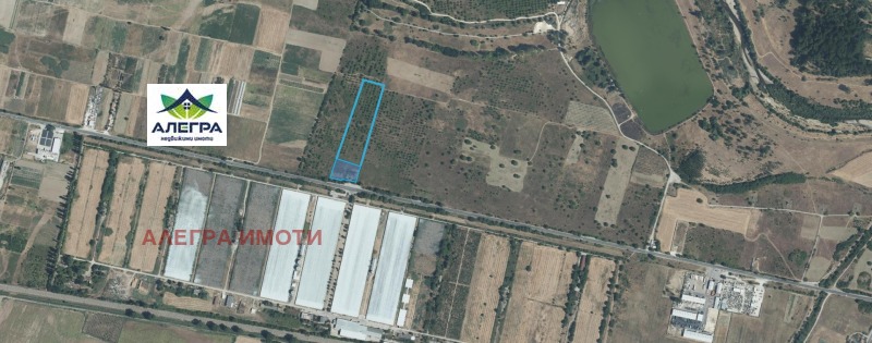 Продава ЗЕМЕДЕЛСКА ЗЕМЯ в област Пазарджик, с. Мокрище - 24.249 дка / 409 033 € » 799 999.01 лв., АЛЕГРА ИМОТИ