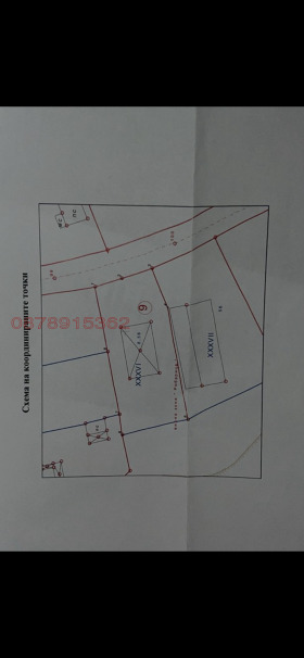 ������� ������ | Imot.bg � ����� ������ 5