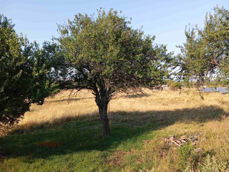 À venda  Trama região Sófia , Herakovo , 4129 m² | 35125366 - imagem [3]