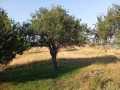 Продава ПАРЦЕЛ, област София, с. Хераково • 144515 € • 33068384 — Holmes.bg