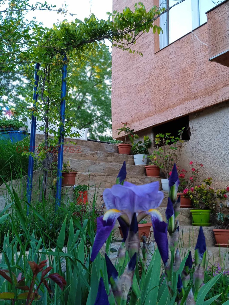 À venda  Casa região Sófia , Elechnica , 140 m² | 32294953 - imagem [2]