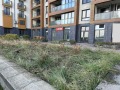 Продава МАГАЗИН, град София, Драгалевци • 1516000 € • 28896305 — Holmes.bg