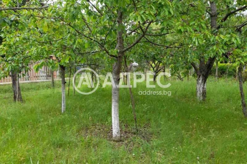 Продава КЪЩА, с. Драговищица, област София област, снимка 3 - Къщи - 52813699