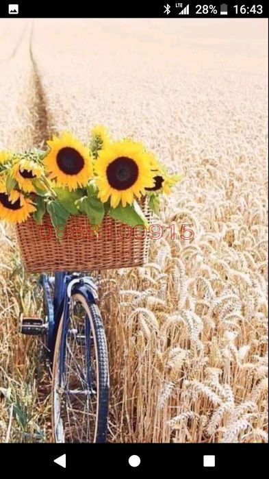 Продава ЗЕМЕДЕЛСКА ЗЕМЯ, гр. Павликени, област Велико Търново