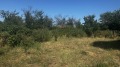 Продава ПАРЦЕЛ, с. Старо Железаре, област Пловдив, снимка 1