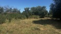 Продава ПАРЦЕЛ, с. Старо Железаре, област Пловдив, снимка 2