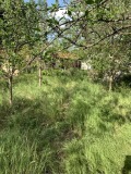Продава ПАРЦЕЛ, с. Тънково, област Бургас, снимка 7