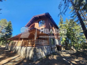 ����� ������� ����,�. ���� �����, ������ �����