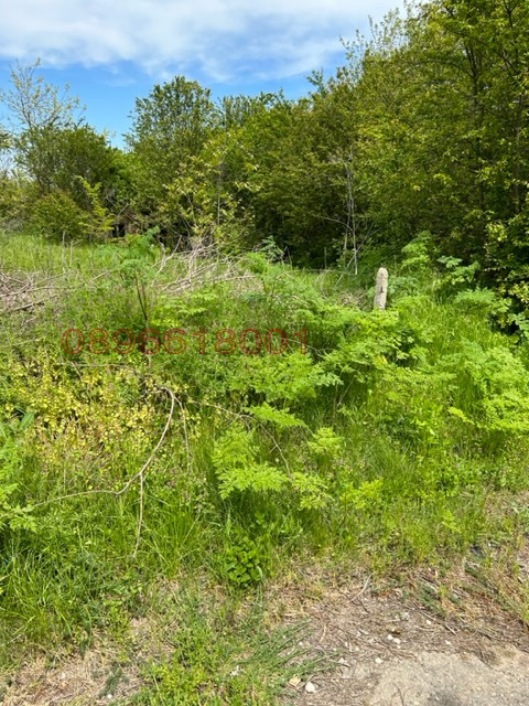 Продава КЪЩА, с. Росица, област Добрич, снимка 10 - Къщи - 52783879